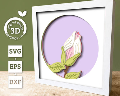 Set of 3D Shadow Boxes - Magnolia Flower Evolution - Layered SVG DXF EPS (Cutting Files)
