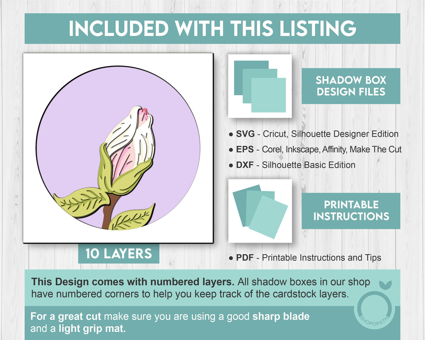 Set of 3D Shadow Boxes - Magnolia Flower Evolution - Layered SVG DXF EPS (Cutting Files)