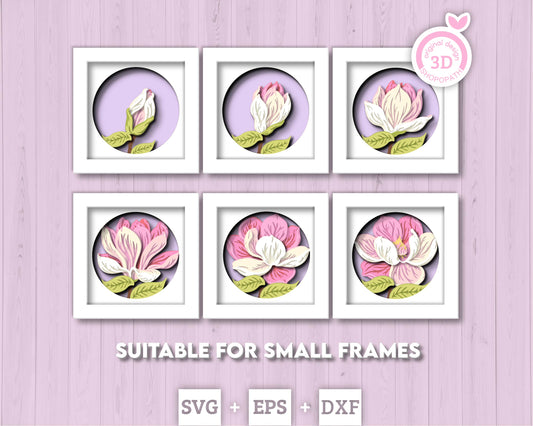 Set of 3D Shadow Boxes - Magnolia Flower Evolution - Layered SVG DXF EPS (Cutting Files)