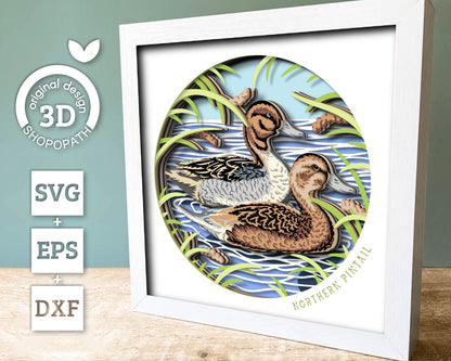 Spring Ducks Northern Pintail - 3D Shadow Box Layered SVG DXF EPS (Cutting Files)
