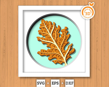 3D SVG Oak Leaf Herbarium Shadow Box, 3D Fall SVG, Oak Fall Leaf 3d svg, Herbarium 3d Svg, Oak 3d SVG, Herbarium Leaf svg, Cricut Silhouette